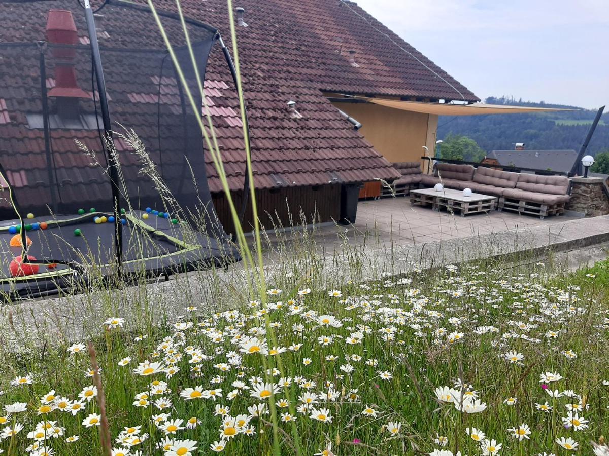 Na Budarce Hotel Paseky nad Jizerou Exterior photo