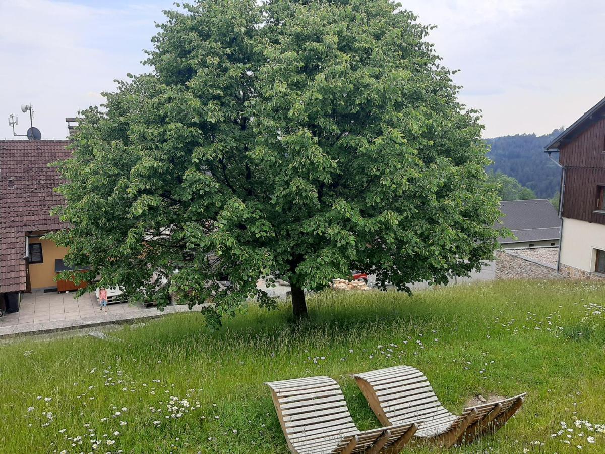 Na Budarce Hotel Paseky nad Jizerou Exterior photo